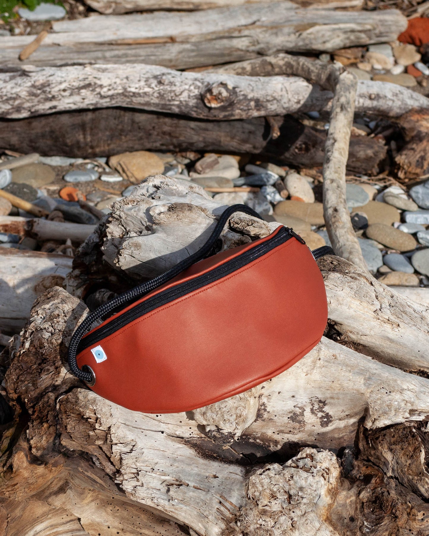 MARSUPIO FIRENZE ruggine